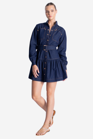 Saraswati Denim Mini Dress
