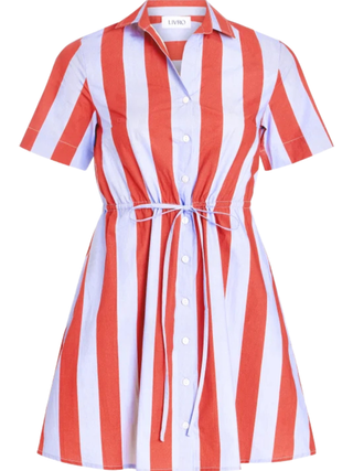 Summit Dress - Hearth Stripe
