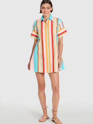 Dock Dress - Amberline Stripes