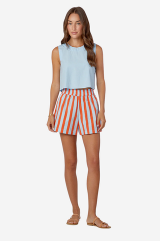 Pool Shorts - Americana