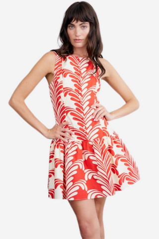 Sade Sleeveless Flare Mini Dress