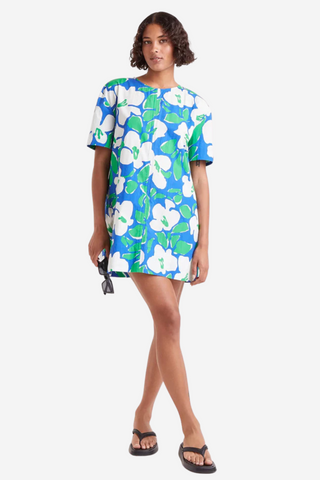 Blue & Green Printed Floral Dress